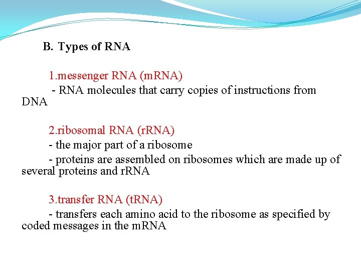 B. Types of RNA DNA 1. messenger RNA (m. RNA) - RNA molecules that B. Types of RNA DNA 1. messenger RNA (m. RNA) - RNA molecules that