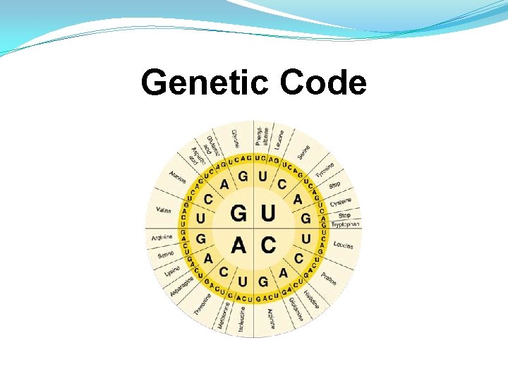 Genetic Code Genetic Code