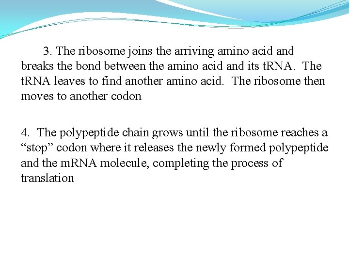 3. The ribosome joins the arriving amino acid and breaks the bond between the 3. The ribosome joins the arriving amino acid and breaks the bond between the