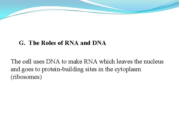 G. The Roles of RNA and DNA The cell uses DNA to make RNA G. The Roles of RNA and DNA The cell uses DNA to make RNA