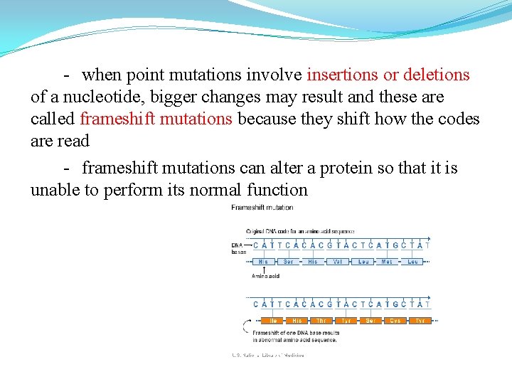 - when point mutations involve insertions or deletions of a nucleotide, bigger changes may - when point mutations involve insertions or deletions of a nucleotide, bigger changes may