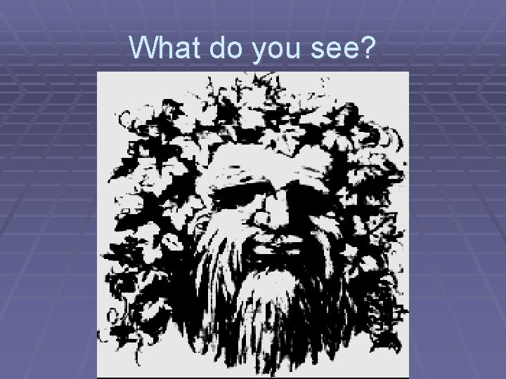 What do you see? 