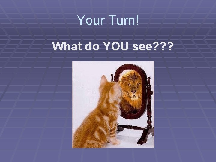 Your Turn! What do YOU see? ? ? 