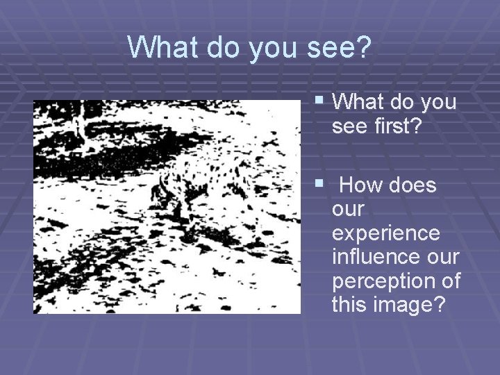 What do you see? § What do you see first? § How does our