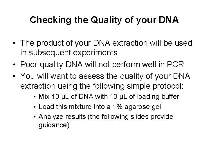 Checking the Quality of your DNA • The product of your DNA extraction will Checking the Quality of your DNA • The product of your DNA extraction will