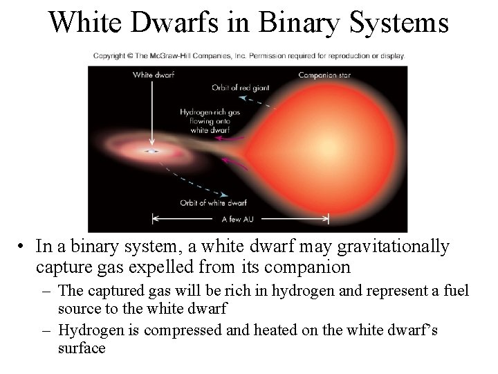 White Dwarfs in Binary Systems • In a binary system, a white dwarf may