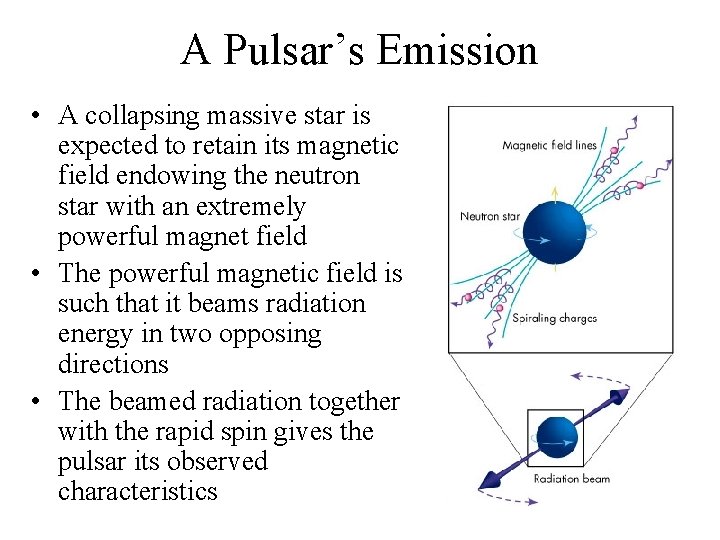 A Pulsar’s Emission • A collapsing massive star is expected to retain its magnetic