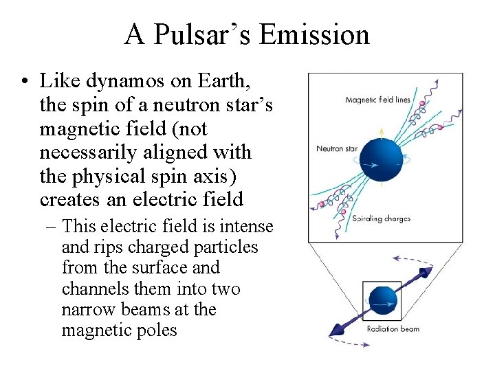 A Pulsar’s Emission • Like dynamos on Earth, the spin of a neutron star’s