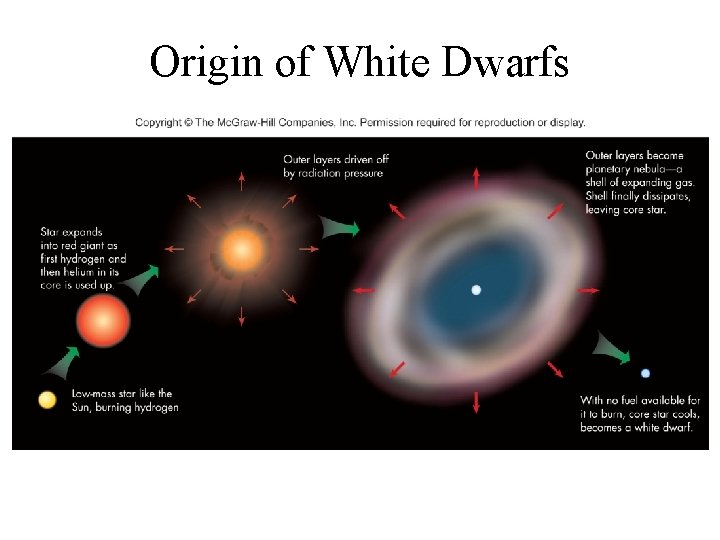 Origin of White Dwarfs 