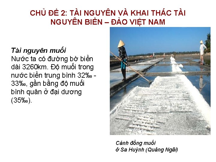 CHỦ ĐỀ 2: TÀI NGUYÊN VÀ KHAI THÁC TÀI NGUYÊN BIỂN – ĐẢO VIỆT