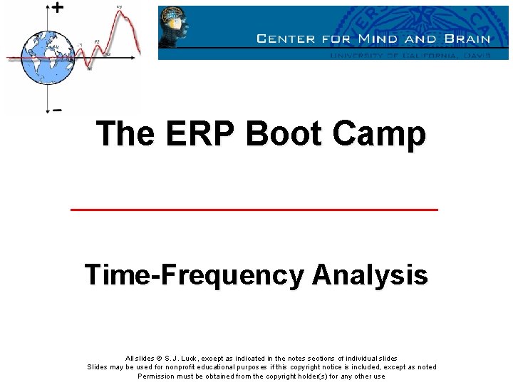 The ERP Boot Camp Time-Frequency Analysis All slides © S. J. Luck, except as
