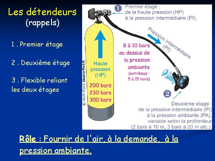 Les détendeurs (rappels) 1. Premier étage 2. Deuxième étage 3. Flexible reliant les deux
