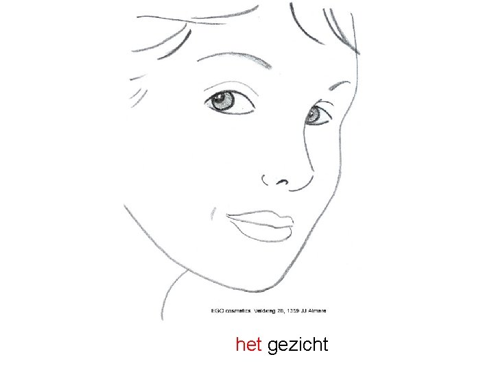 het gezicht 