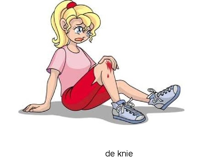 de knie 