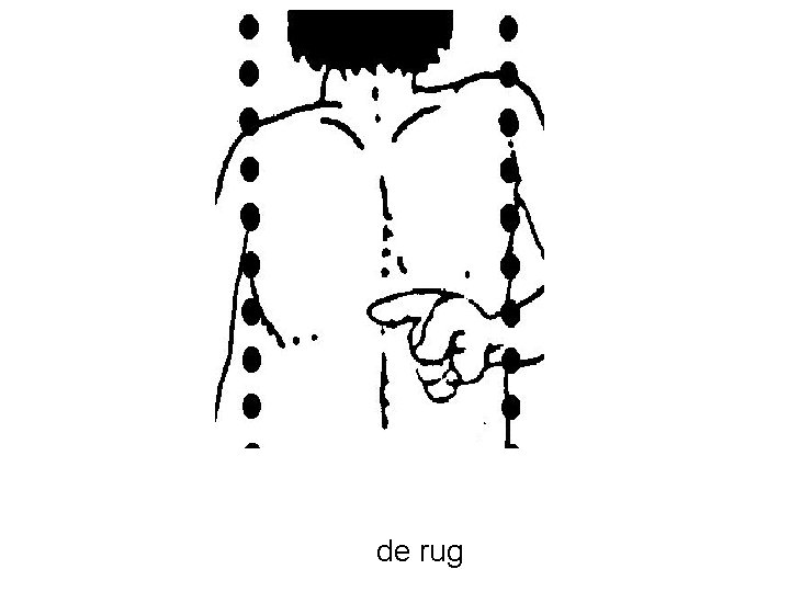 de rug 