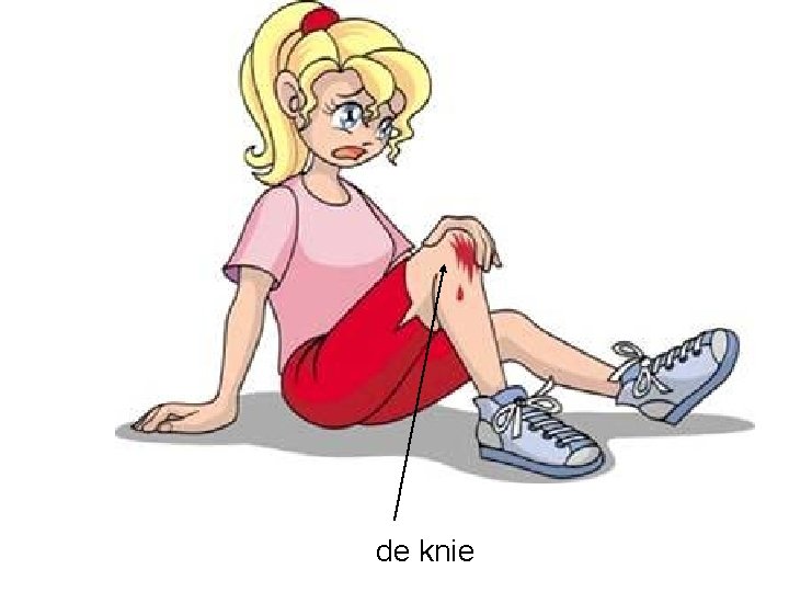 de knie 