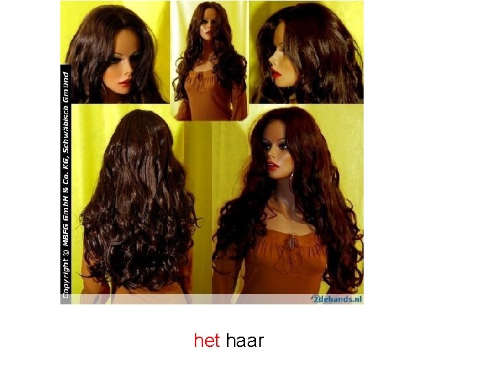 het haar 