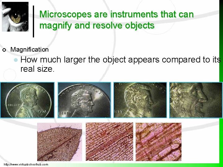 Microscope Magnifies Cells are studied by a combination of methods