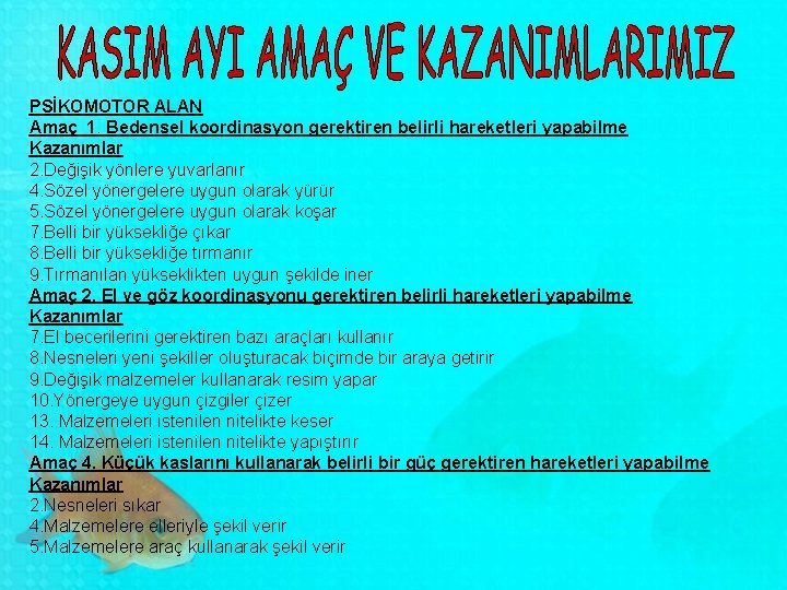 PSİKOMOTOR ALAN Amaç 1. Bedensel koordinasyon gerektiren belirli hareketleri yapabilme Kazanımlar 2. Değişik yönlere