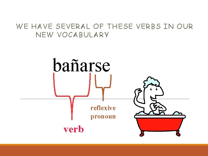 WE HAVE SEVERAL OF THESE VERBS IN OUR NEW VOCABULARY bañarse reflexive pronoun verb