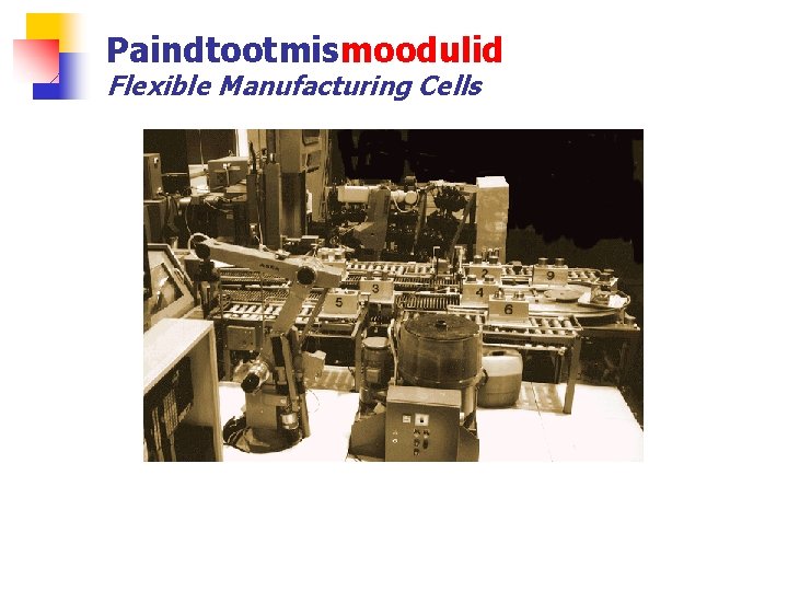 Paindtootmismoodulid Flexible Manufacturing Cells 