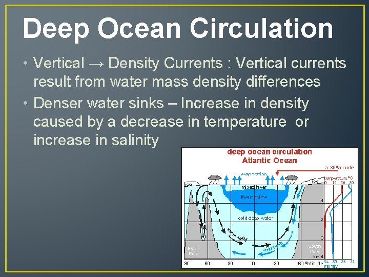 Deep Ocean Circulation • Vertical → Density Currents : Vertical currents result from water