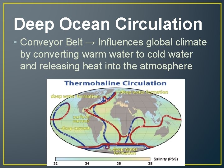 Deep Ocean Circulation • Conveyor Belt → Influences global climate by converting warm water
