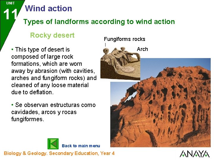 UNIT 11 Wind action Types of landforms according to wind action Rocky desert Fungiforms
