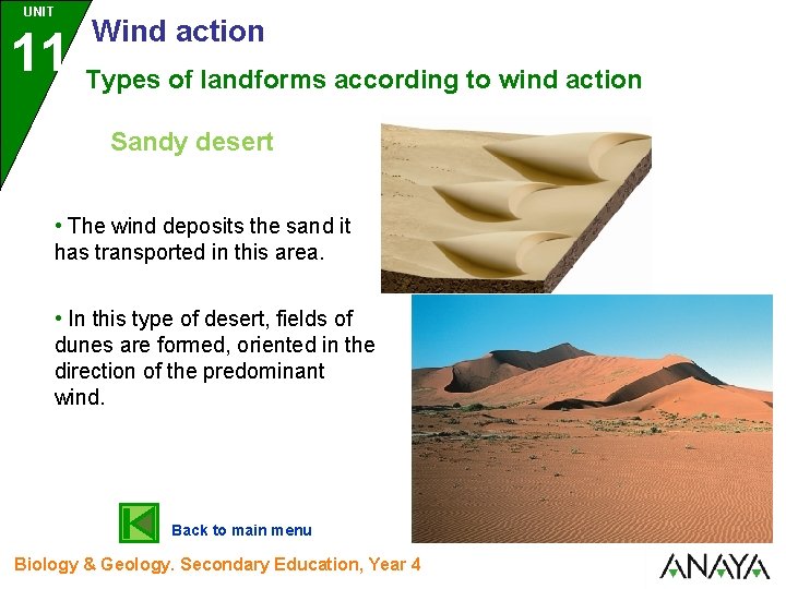 UNIT 11 Wind action Types of landforms according to wind action Sandy desert •