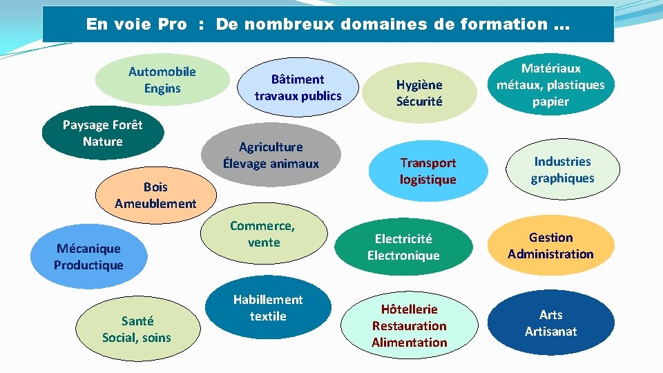 En voie Pro : De nombreux domaines de formation … Automobile Engins Paysage Forêt