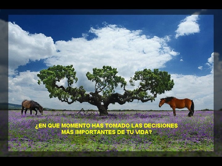 ¿EN QUE MOMENTO HAS TOMADO LAS DECISIONES MÁS IMPORTANTES DE TU VIDA? 