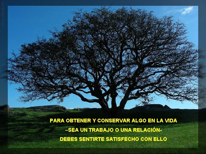 PARA OBTENER Y CONSERVAR ALGO EN LA VIDA –SEA UN TRABAJO O UNA RELACIÓNDEBES