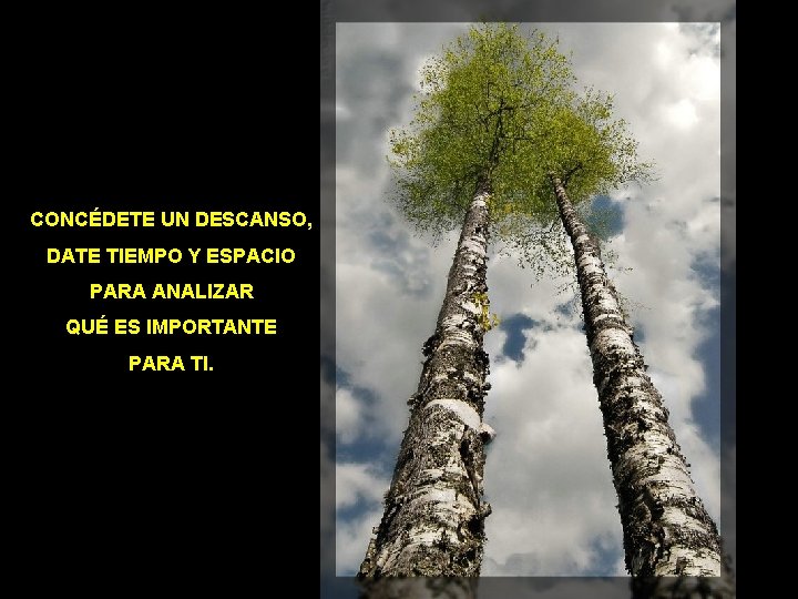 CONCÉDETE UN DESCANSO, DATE TIEMPO Y ESPACIO PARA ANALIZAR QUÉ ES IMPORTANTE PARA TI.