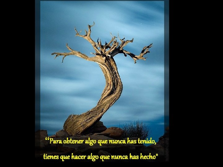 “Para obtener algo que nunca has tenido, tienes que hacer algo que nunca has