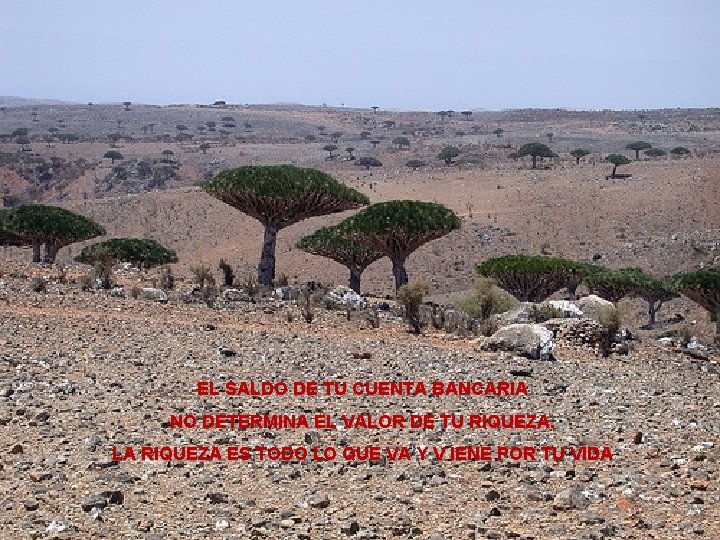 EL SALDO DE TU CUENTA BANCARIA NO DETERMINA EL VALOR DE TU RIQUEZA. LA