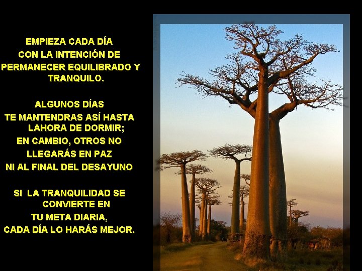 EMPIEZA CADA DÍA CON LA INTENCIÓN DE PERMANECER EQUILIBRADO Y TRANQUILO. ALGUNOS DÍAS TE
