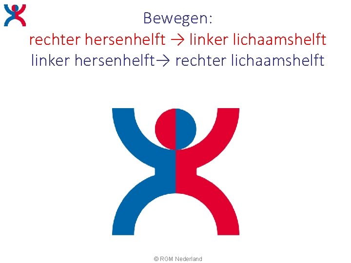 Bewegen: rechter hersenhelft → linker lichaamshelft linker hersenhelft→ rechter lichaamshelft © RGM Nederland Bewegen: rechter hersenhelft → linker lichaamshelft linker hersenhelft→ rechter lichaamshelft © RGM Nederland
