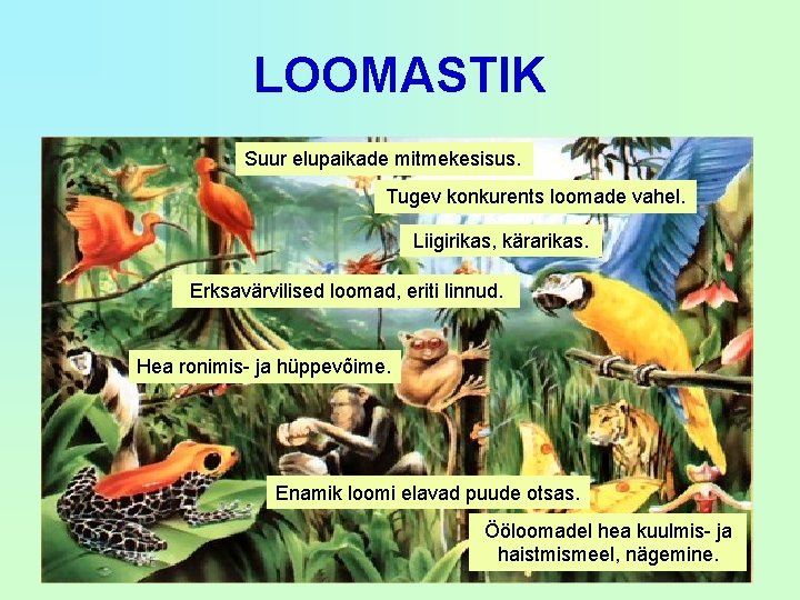 LOOMASTIK Suur elupaikade mitmekesisus. Tugev konkurents loomade vahel. Liigirikas, kärarikas. Erksavärvilised loomad, eriti linnud.