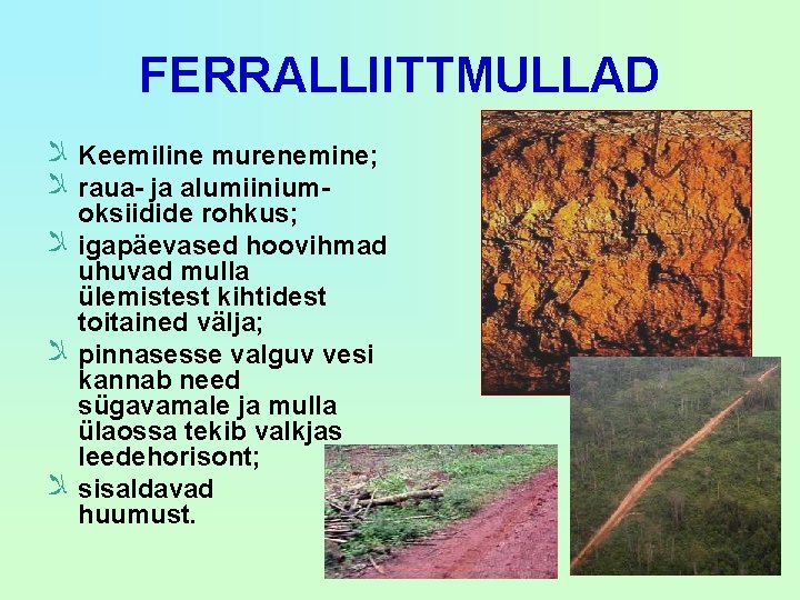 FERRALLIITTMULLAD ﻼ Keemiline murenemine; ﻼ raua- ja alumiinium ﻼ ﻼ ﻼ oksiidide rohkus; igapäevased