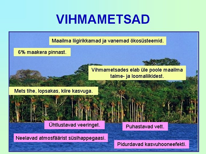 VIHMAMETSAD Maailma liigirikkamad ja vanemad ökosüsteemid. 6% maakera pinnast. Vihmametsades elab üle poole maailma