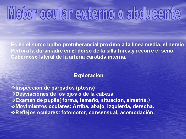 Es en el surco bulbo protuberancial proximo a la linea media, el nervio Perfora