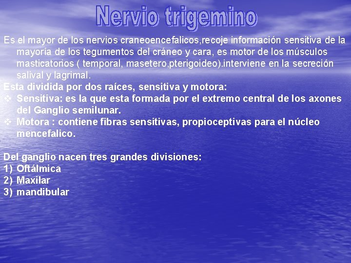 Es el mayor de los nervios craneoencefalicos, recoje información sensitiva de la mayoría de