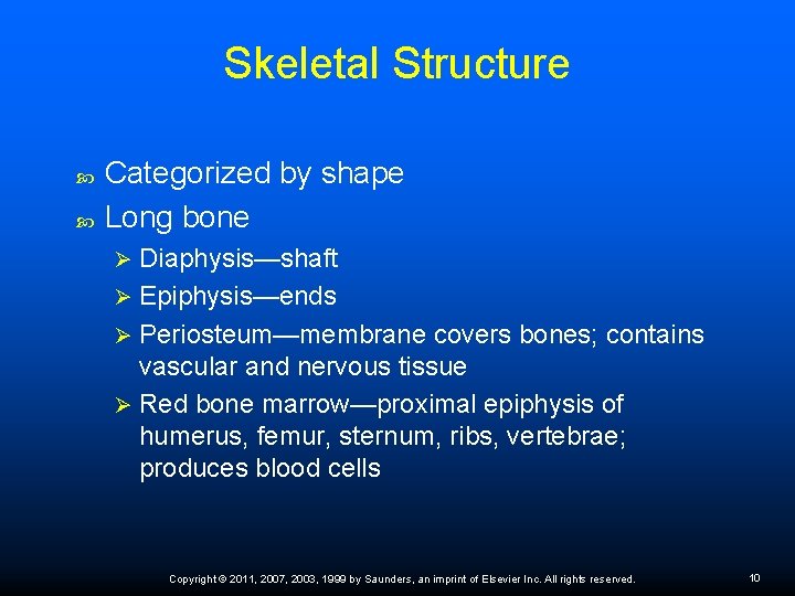 Skeletal Structure Categorized by shape Long bone Diaphysis—shaft Ø Epiphysis—ends Ø Periosteum—membrane covers bones;