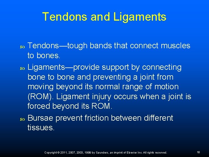 Tendons and Ligaments Tendons—tough bands that connect muscles to bones. Ligaments—provide support by connecting