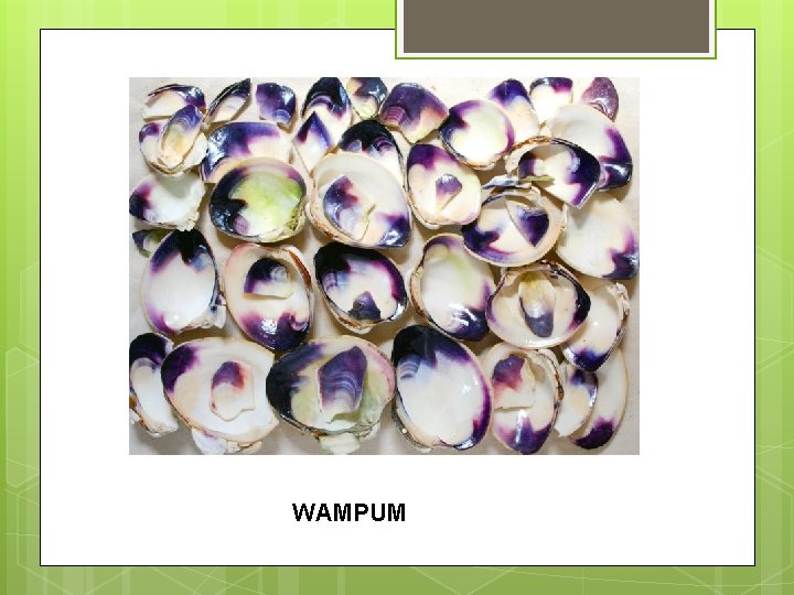 WAMPUM 