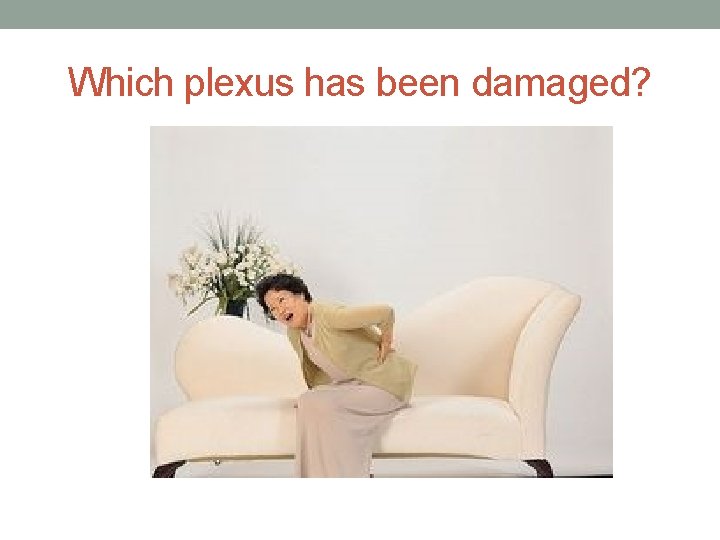 Which plexus has been damaged? 