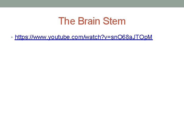 The Brain Stem • https: //www. youtube. com/watch? v=sn. O 68 a. JTOp. M