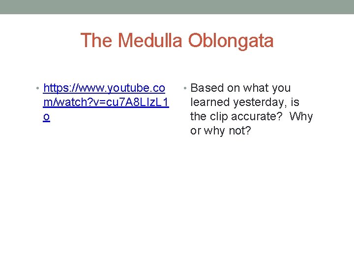 The Medulla Oblongata • https: //www. youtube. co m/watch? v=cu 7 A 8 LIz.