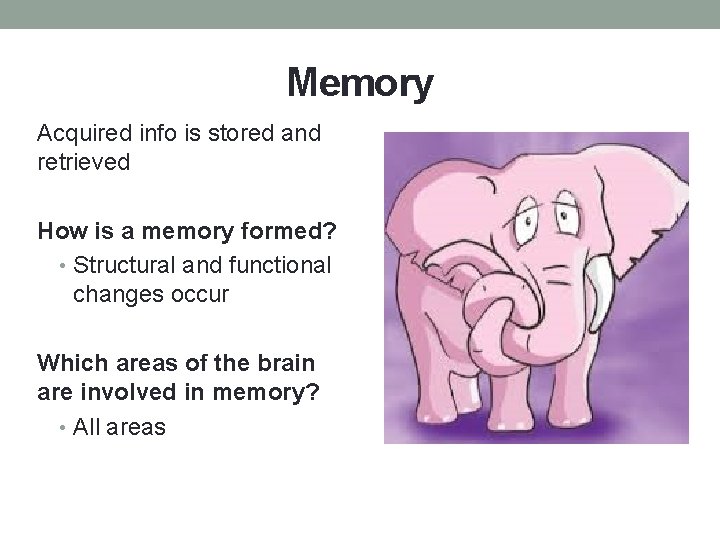 Memory Acquired info is stored and retrieved How is a memory formed? • Structural