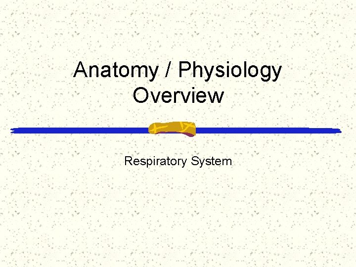 Anatomy / Physiology Overview Respiratory System 